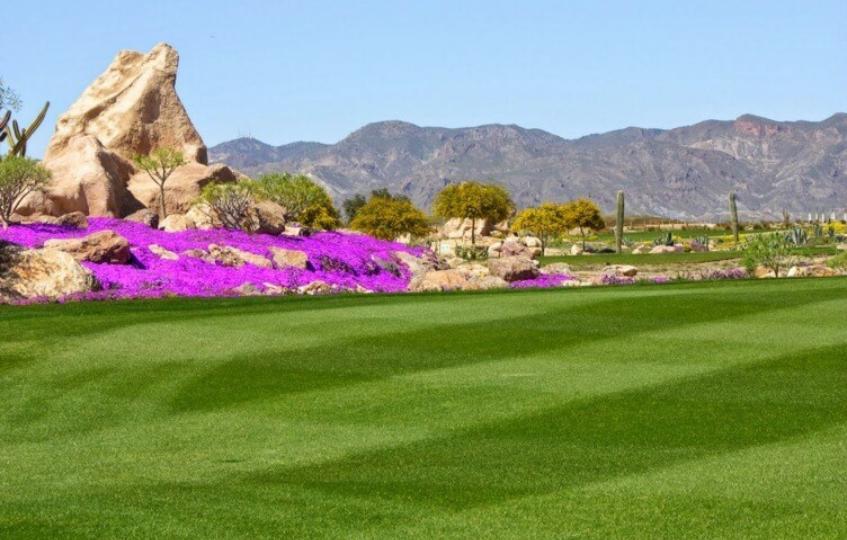 Desert Springs Golf 3a